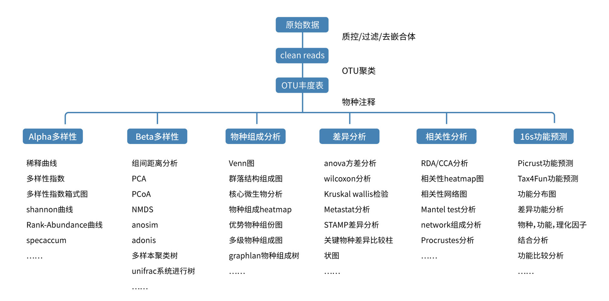 二代多样性分析流程