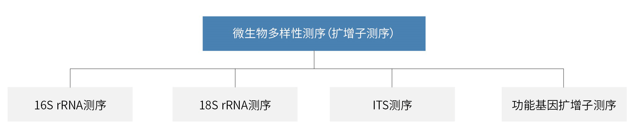 产品分类