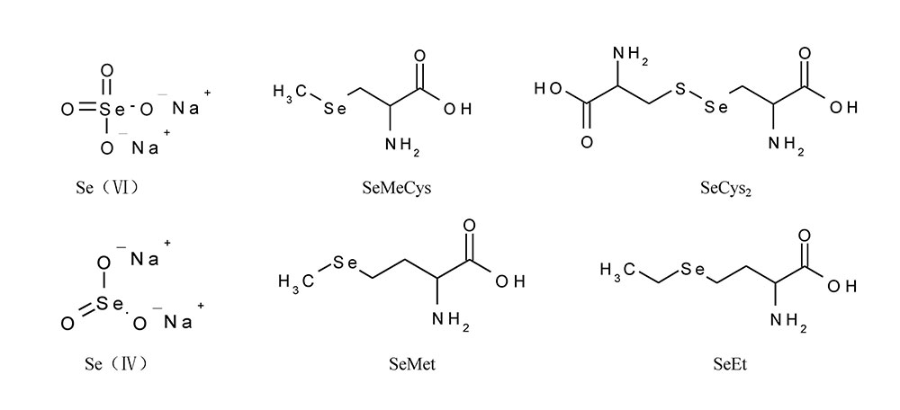 硒的形态结构图