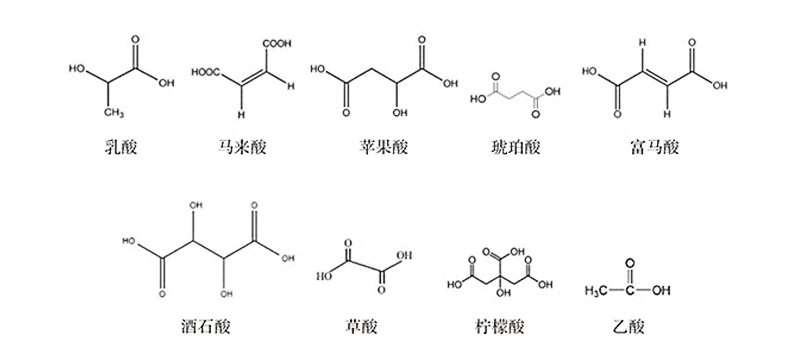 部分有机酸化学结构式