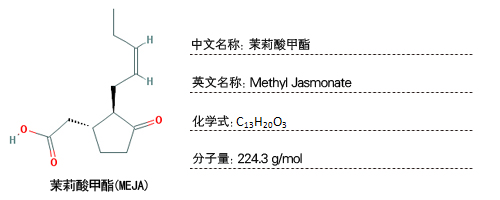 茉莉酸甲酯