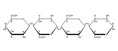 纤维素分子结构