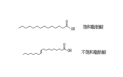 脂肪酸分子结构图