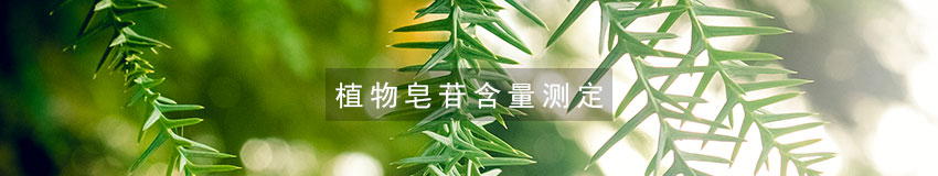 皂苷含量测定