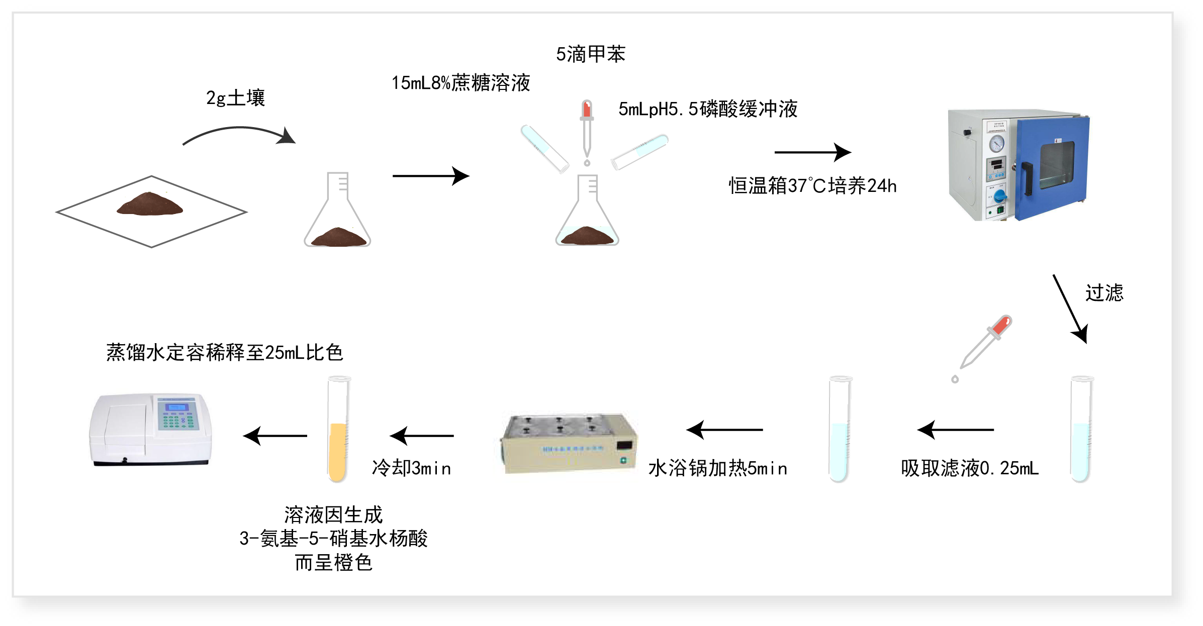 土壤蔗糖酶活性测定步骤