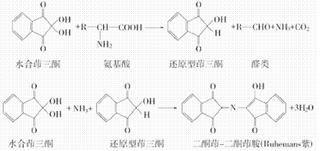 氨基酸含量检测