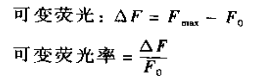 叶绿体光诱导荧光强度计算公式