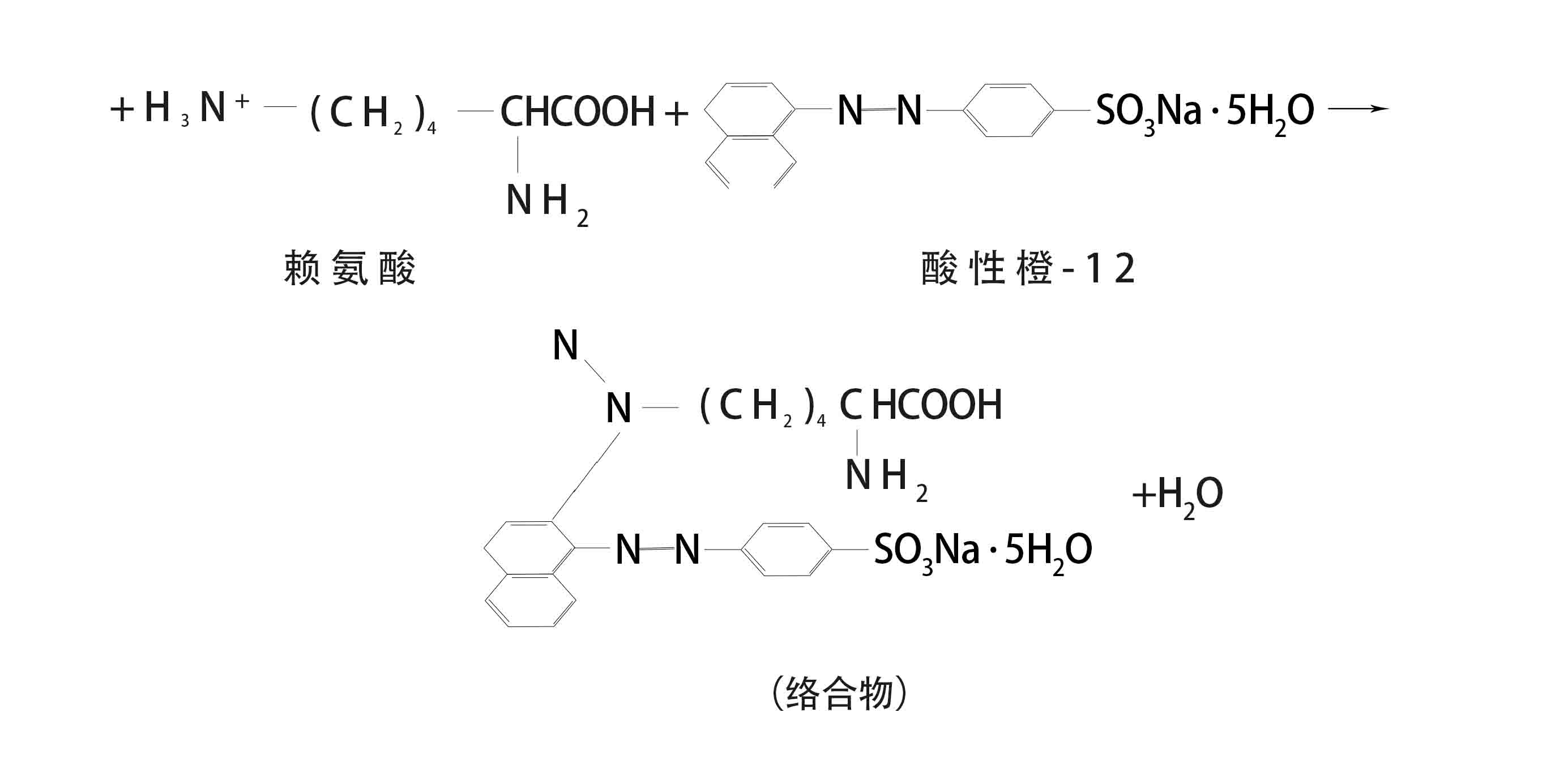 赖氨酸测定