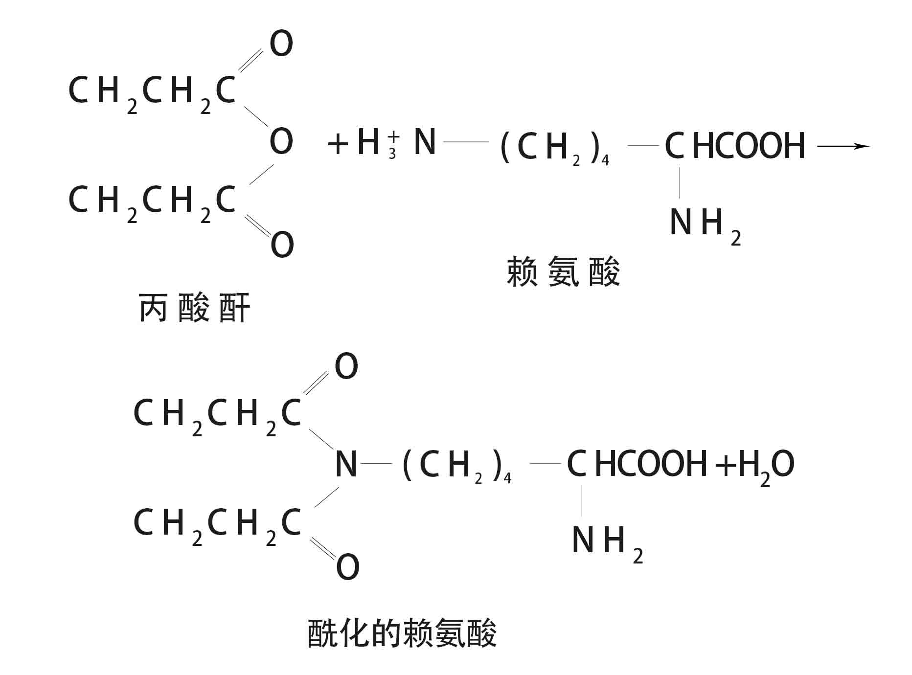 赖氨酸测定