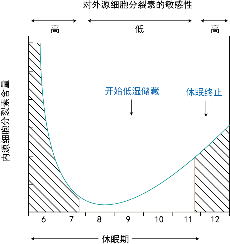 内源细胞分裂素含量