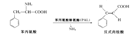 测定原理图